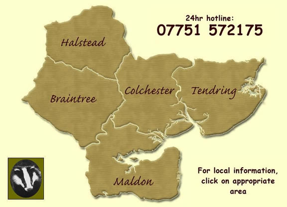 Home Page Map